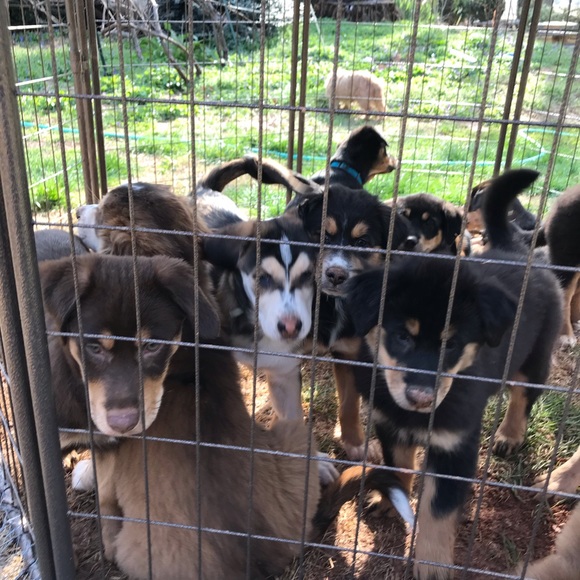 No Trades For Our Items; But We Will Take Offers! - Picture 7 of 8